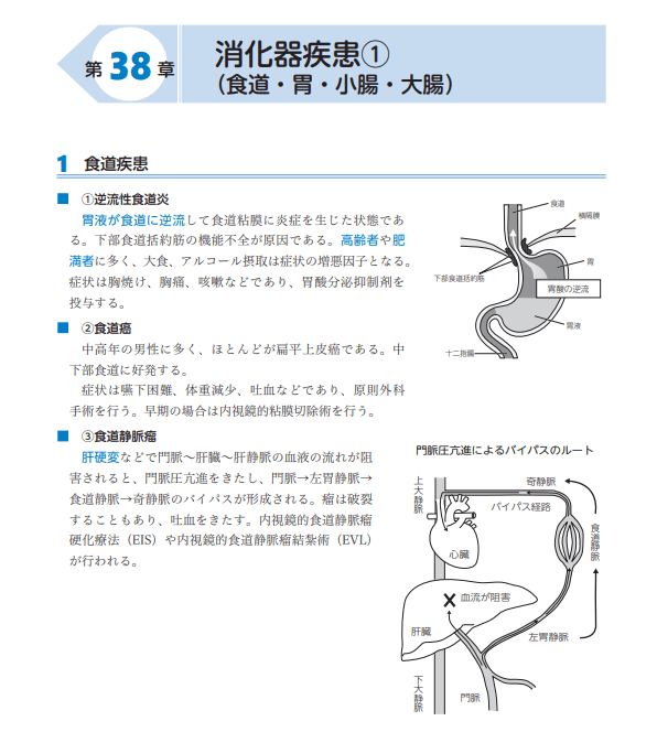 アガルート臨床工学技士